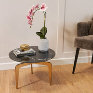 Cortona Coffee Table