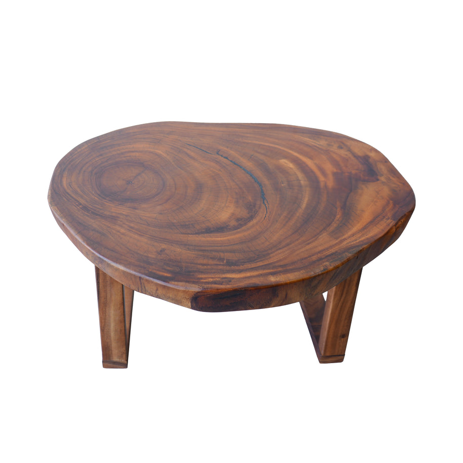 Tree Slice Coffee Table