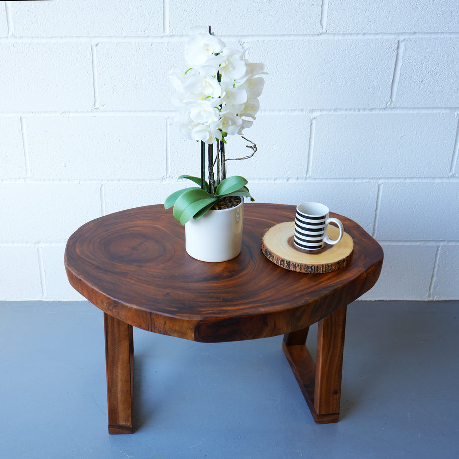 Tree Slice Coffee Table