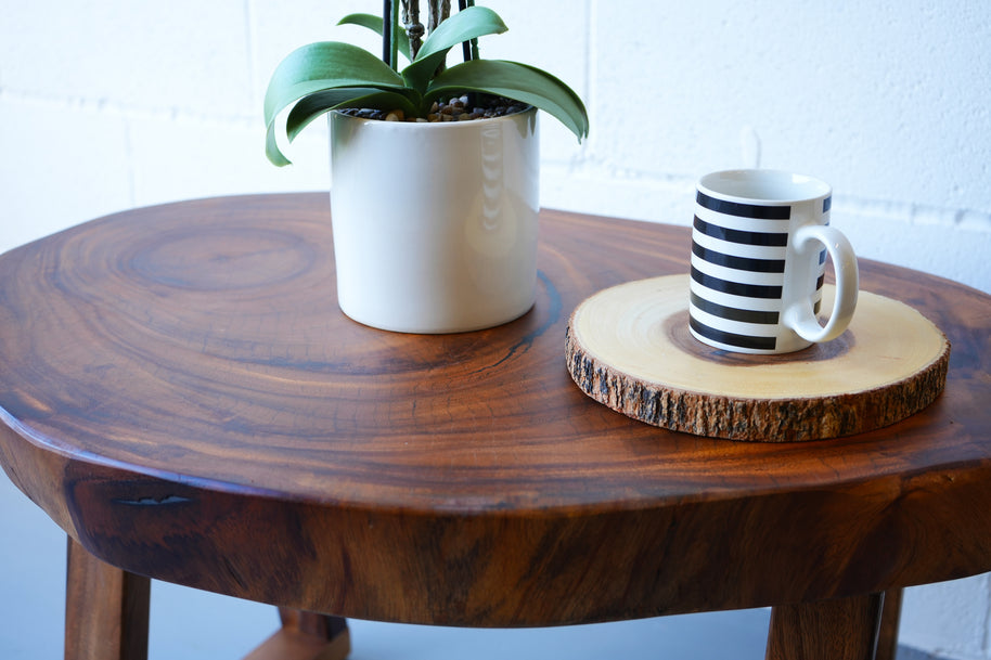 Tree Slice Coffee Table