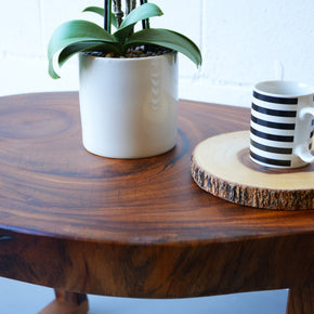 Tree Slice Coffee Table