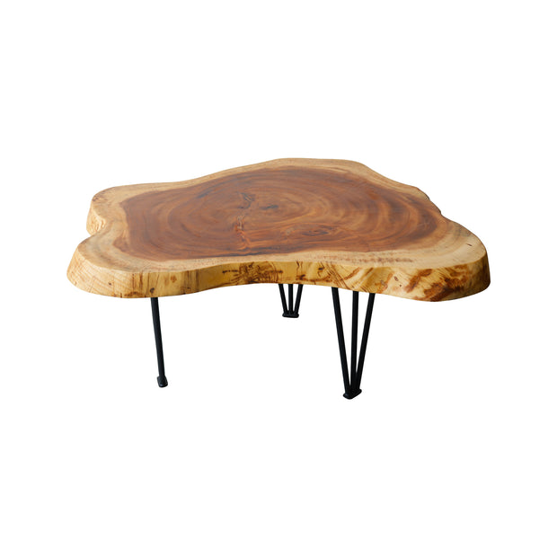 Tree Slab Coffee Table