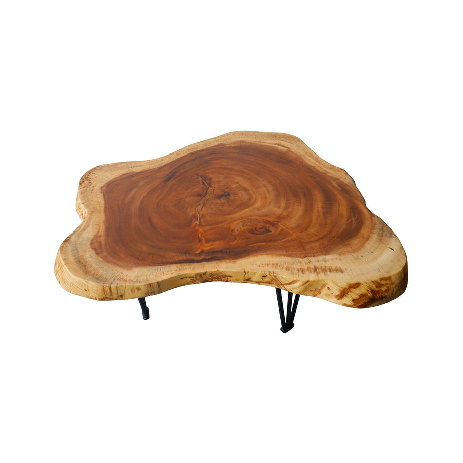 Tree Slab Coffee Table