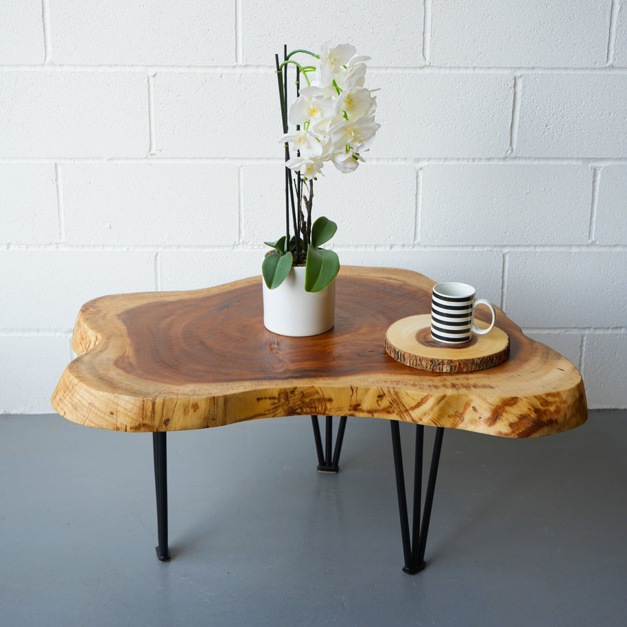 Tree Slab Coffee Table