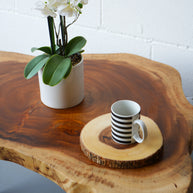 Tree Slab Coffee Table