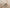 ALIA 513A2 BEIGE/CREAM