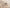 ALIA 842G2 BEIGE/GREY