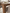 Dining table Bliss rectangular