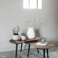 Coffee table Organus NATURAL, set of 2