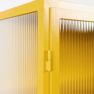 Phoenix Iron Cabinet