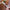 YOTSUBA Chef's Knife