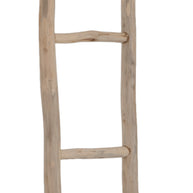 Ladder Must Have