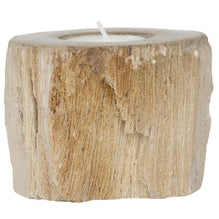 Candle Holder Fossil