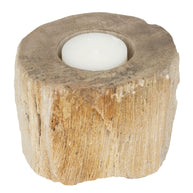 Candle Holder Fossil