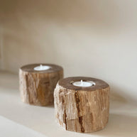 Candle Holder Fossil