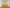 #color_honey-yellow