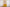 #color_honey-yellow