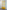 #color_honey-yellow