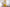 #color_honey-yellow