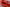 #color_flame-red