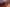 #color_copper-brown
