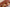#color_copper-brown
