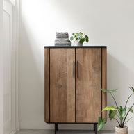 Cupboard Soho low, 2 doors