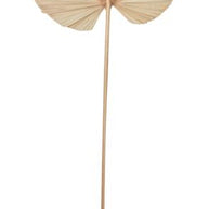 Palm leaf - ORDER by 4 pcs