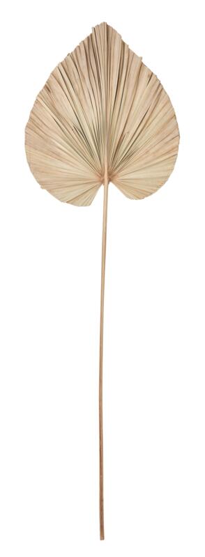 Palm leaf - ORDER by 4 pcs