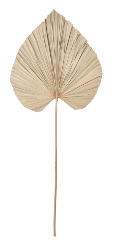 Palm leaf - ORDER by 4 pcs