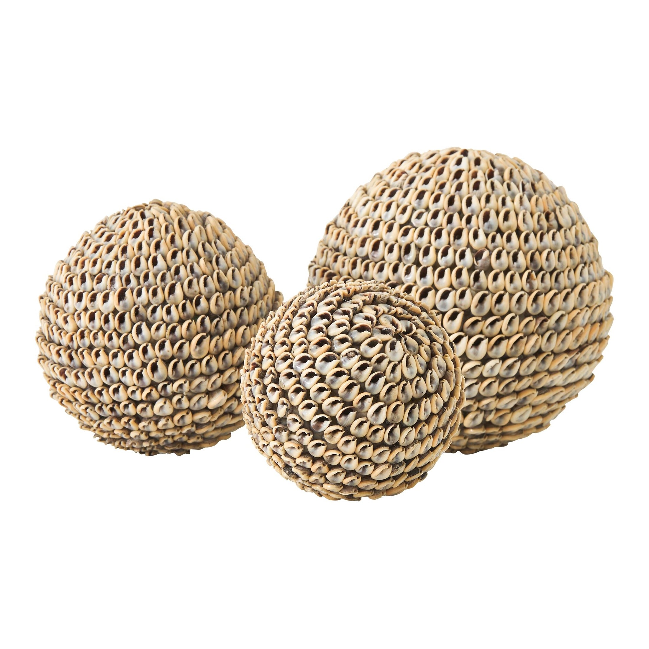 Beach Shell Ball – Set of 3