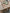 Dining Table Icon Rectangular