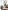 Dining Table Curves Rectangular