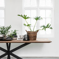Dining Table Curves Rectangular