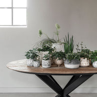 Dining Table Shape Round