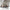 Dining Table Shape Oval