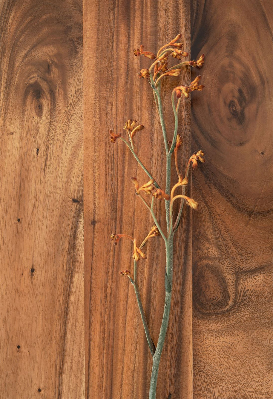 large fl flare wood detailsf1dtp13170013195574