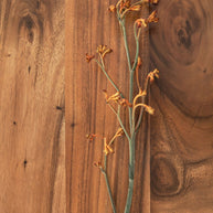 large fl flare wood detailsf1dtp13170013195574