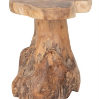 Stool Mushroom Natural