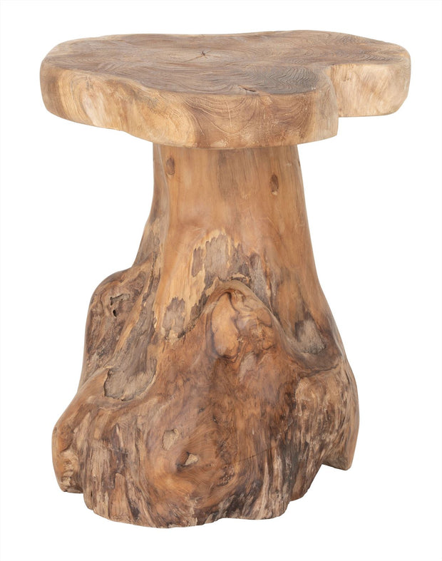 Stool Mushroom Natural