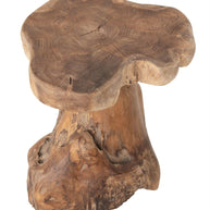 Stool Mushroom Natural