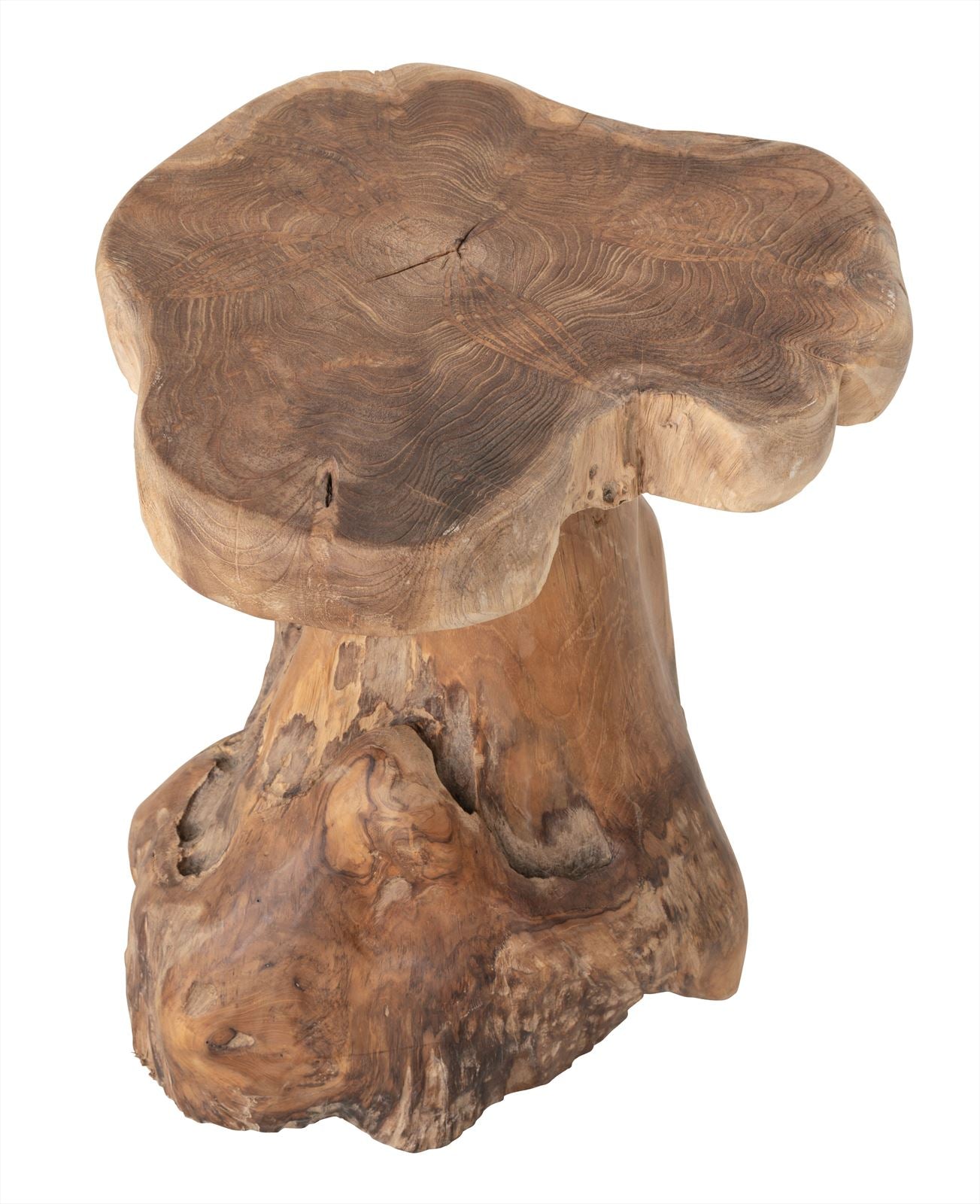 Stool Mushroom Natural