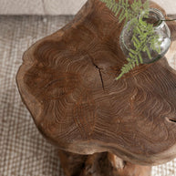 Stool Mushroom Natural