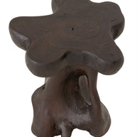 Stool Mushroom Brown