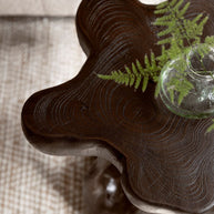 Stool Mushroom Brown