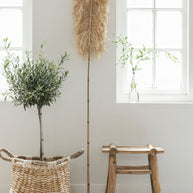 Sisal Leaf 175 - ORDER by 5 pieces