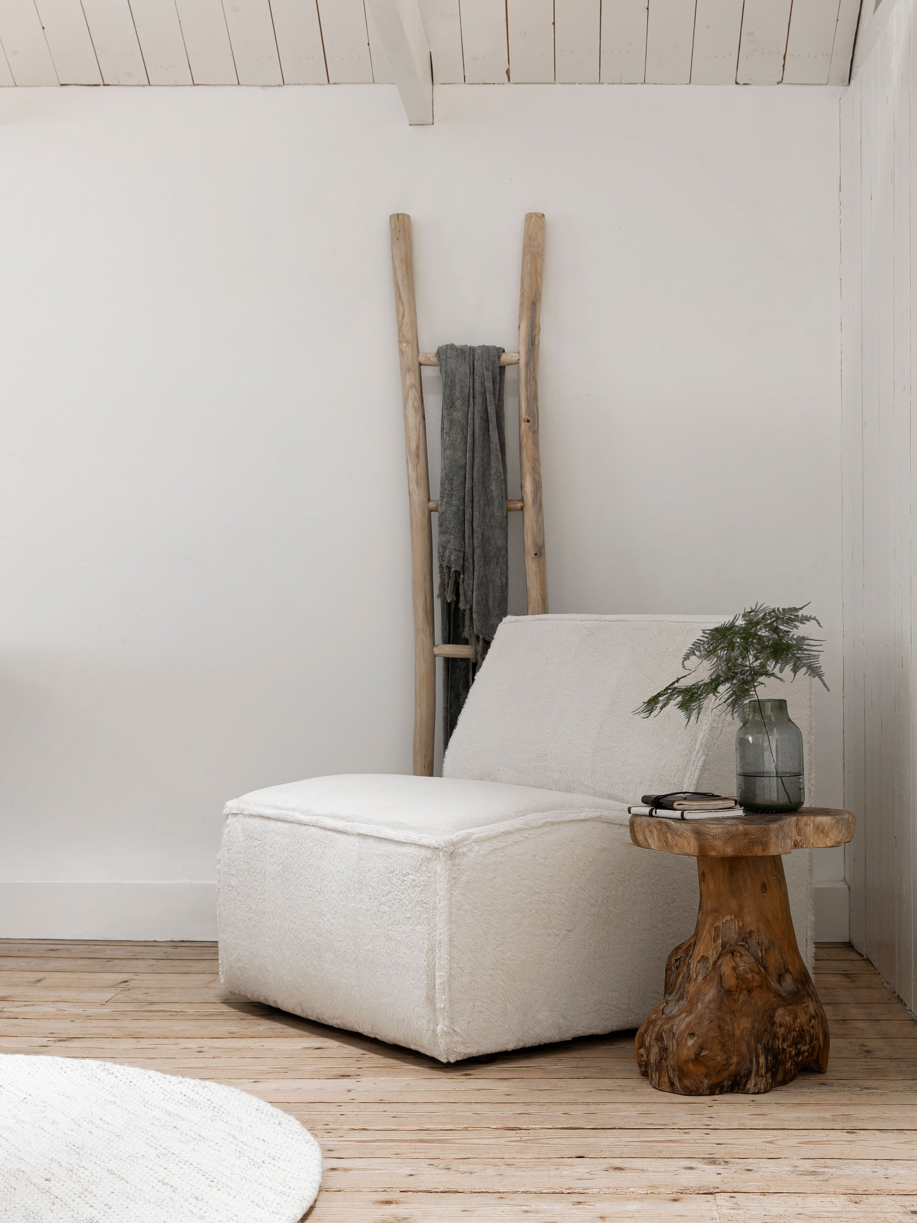 Stool Mushroom Natural