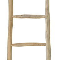 Ladder Bohemian