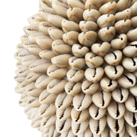 Sand shell ball white