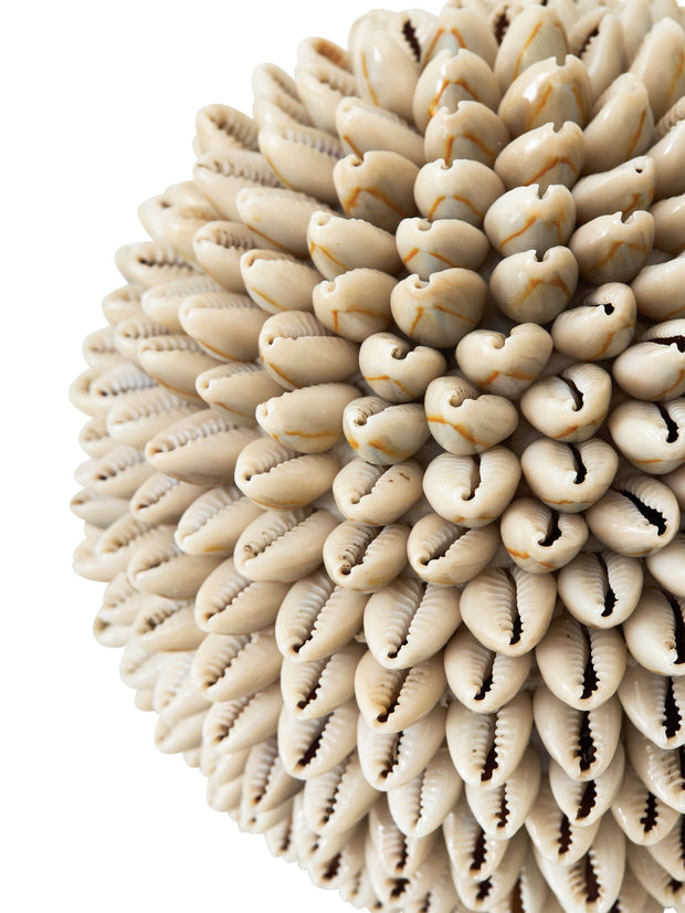 Sand shell ball white